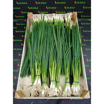 Cibule lahůdková, 14ks/2 kg