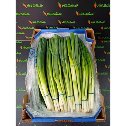 Cibule lahůdková, 14ks/2 kg