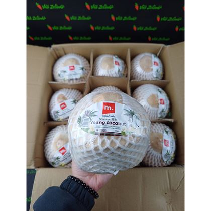 Kokos mladý, 9ks