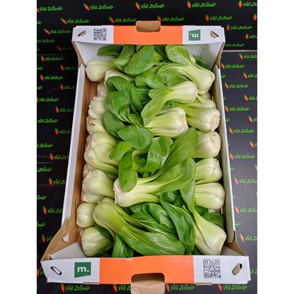 Pakchoi Shanghai, 8 kg