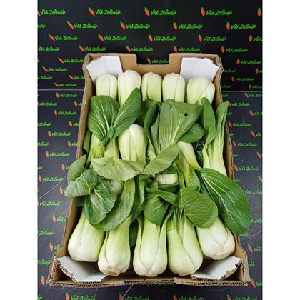Pakchoi Shanghai, 8 kg