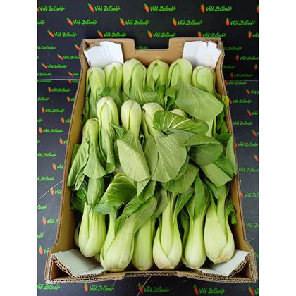Pakchoi Shanghai, 8 kg