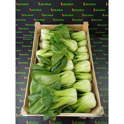 Pakchoi Shanghai, 8 kg