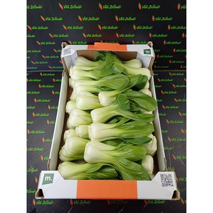 Pakchoi Shanghai, 8 kg