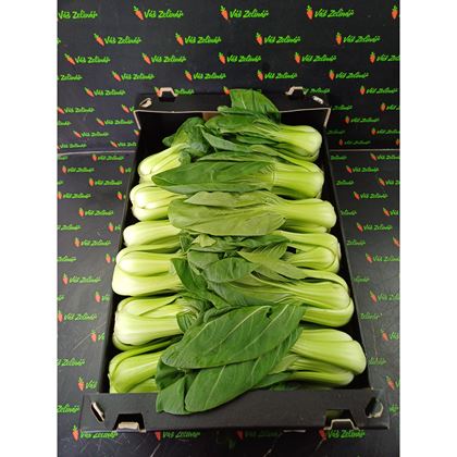 Pakchoi Shanghai, 8 kg
