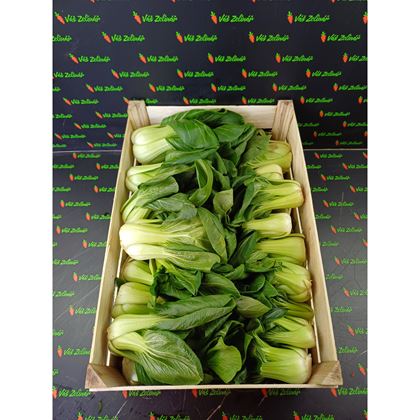 Pakchoi Shanghai, 8 kg