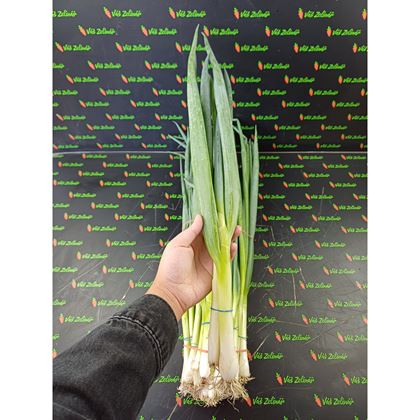 Cibule lahůdková svazek, 10ks