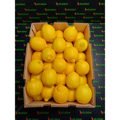 Citron Eureka, 15kg