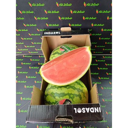 Meloun vodní bezsemenný červený (žíhaný), 15kg (2ks)