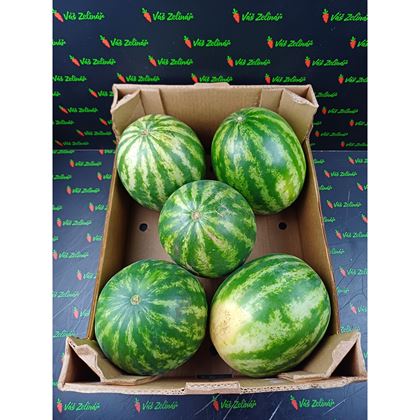 Meloun Vodní bezsemenný červený, 16kg (5ks)