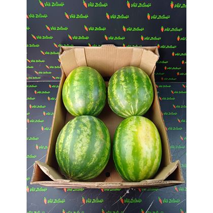 Meloun Vodní bezsemenný červený, 16kg (4ks)