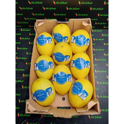 Meloun žlutý Honey Dew, 9ks