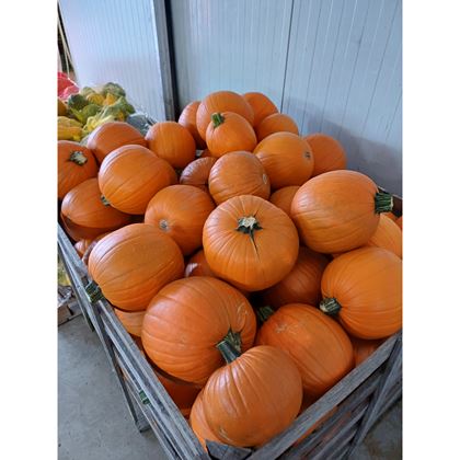 Dýně Halloween, kg