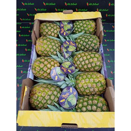 Ananas, 9ks