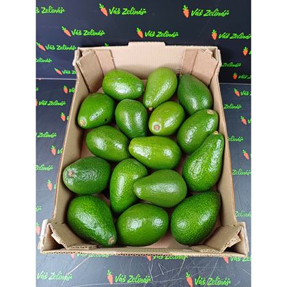 Avocado Fuerte, 16ks