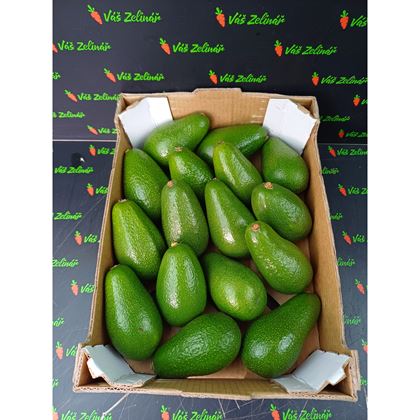 Avocado Fuerte, 16ks
