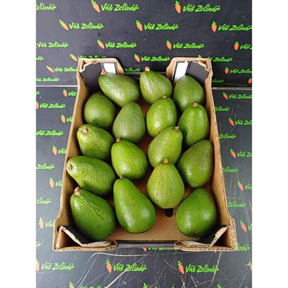 Avocado Fuerte, 16ks