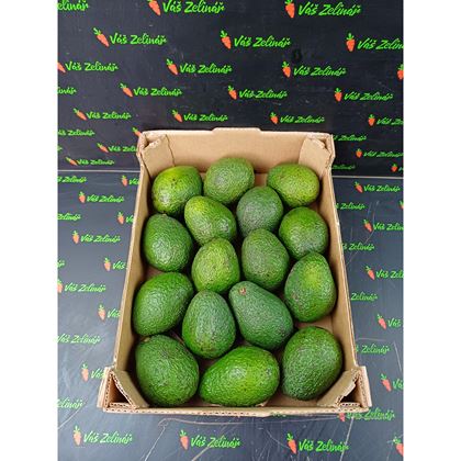 Avocado Hass, 16ks