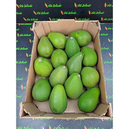 Avocado Fuerte, 14ks