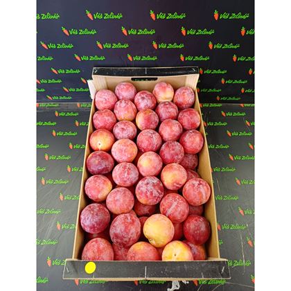 Blumy červené Laetitia, 10kg