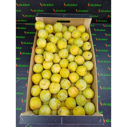 Blumy žluté Sun Gold, 10kg