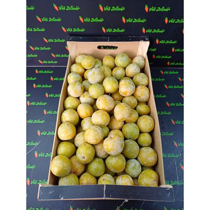 Blumy žluté Sun Gold, 9kg