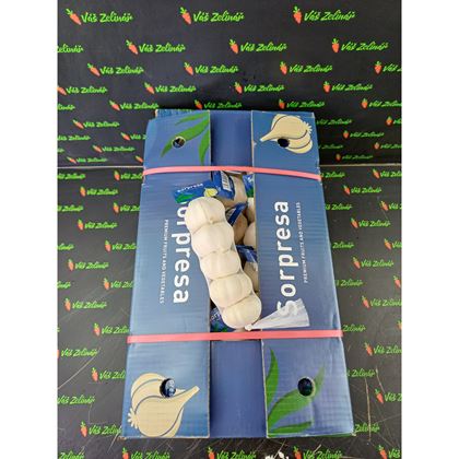 Česnek síťka, 40x250g (10kg)