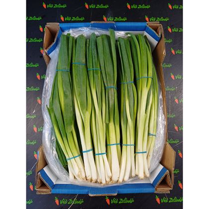 Cibule lahůdková, 16ks/2 kg