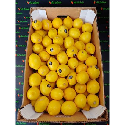 Citron Primofiori, 15kg