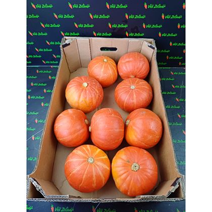 Dýně Hokaido, 10kg