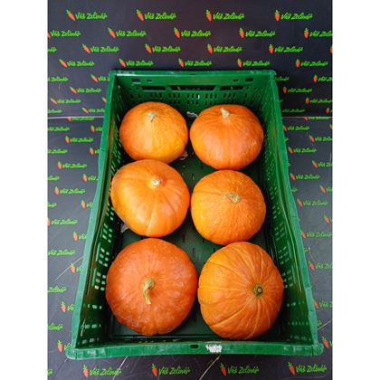 Dýně Hokaido, 10kg