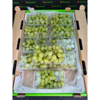 Hrozno bílé bezsemenné, 10x500g