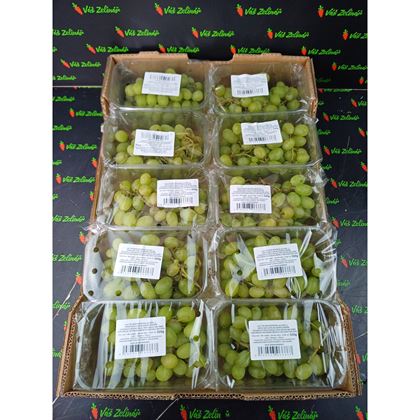 Hrozno bílé bezsemenné, 10x500g