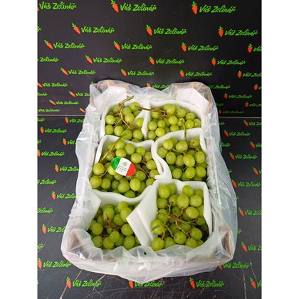 Hrozny bílé bez. Autumn Crisp, 4,5kg