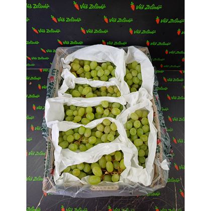 Hrozny bílé bezsemenné Thompson, 4,5 kg