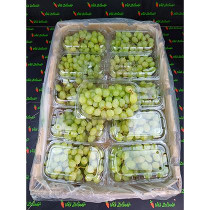 Hrozny bílé bezsemenné Thompson, 10x500g