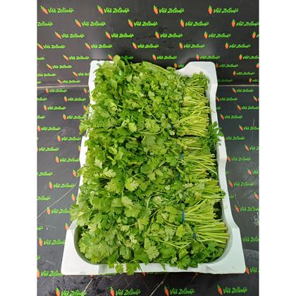 Koriandr x20, 3,3kg
