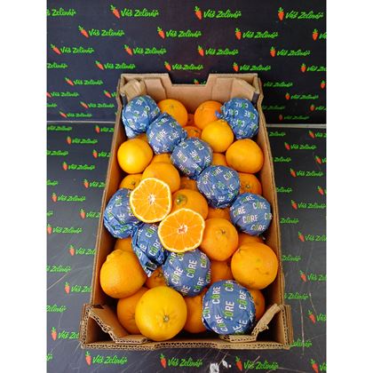 Mandarinky Clemenules 10kg