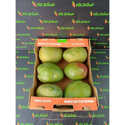 Mango Kent, 6ks