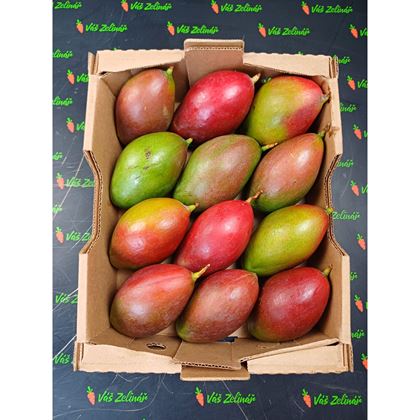 Mango Palmer, 12ks