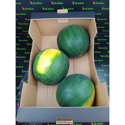 Meloun bezpeckový, 16kg (3ks)