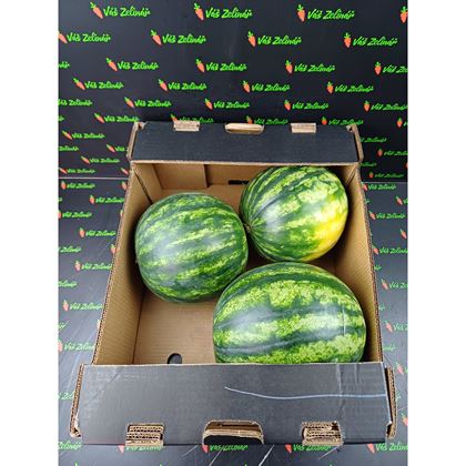 Meloun bezpeckový, 16kg (3ks)
