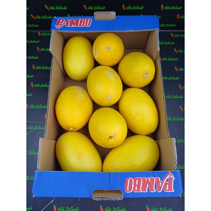 Meloun medový Honeydew, 9ks (10kg)