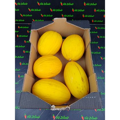 Meloun medový Honeydew KS