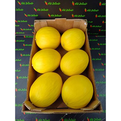 Meloun medový Honeydew KS