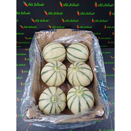 Meloun cukrový Charentais, 6ks
