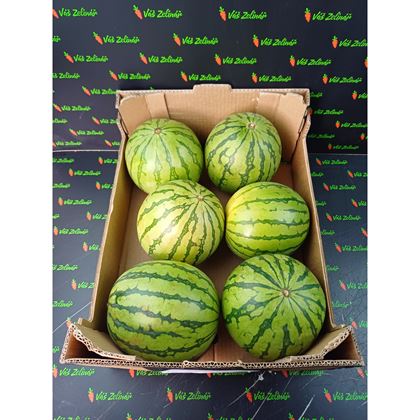 Meloun vodní mini, 10kg (6ks)