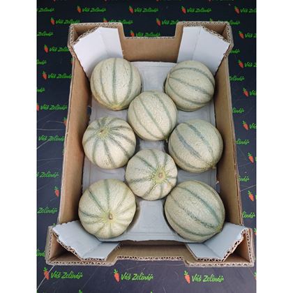 Meloun Cantaloupe, 8ks