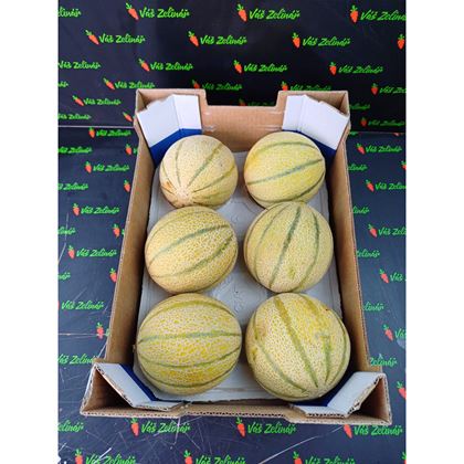 Meloun Cantaloupe, 6ks