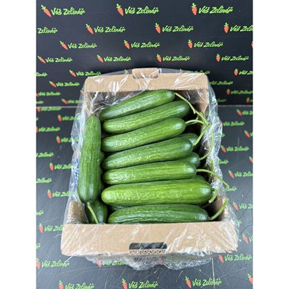 Okurky nebalené, 7kg